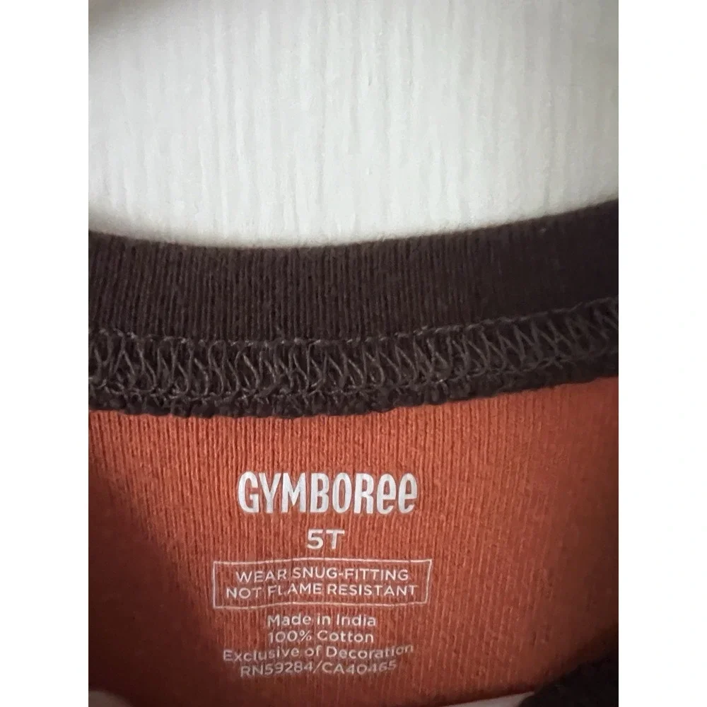 Gymboree Boys 5T Orange Brown Turkey Graphic Raglan Long Sleeve Cotton Tee